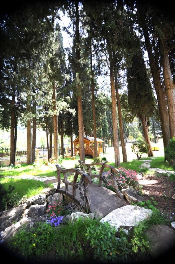 Lazurniy Bereg Hotel Гагра Екстериор снимка